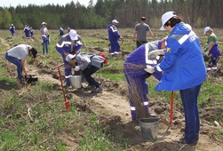 Сотрудники "Газпром трансгаз Самара" приняли участие в акции "Всероссийский День посадки леса"