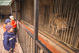 В улучшении жилищных условий нуждаются многие питомцы зоопарка