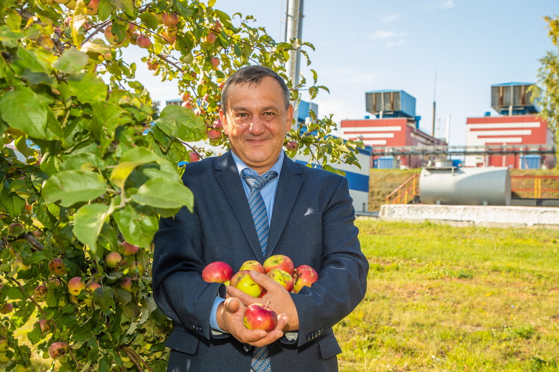 Андрей Рудой, начальник Северного ЛПУМГ в яблоневом саду, который на территории управления посадили сотрудники филиала