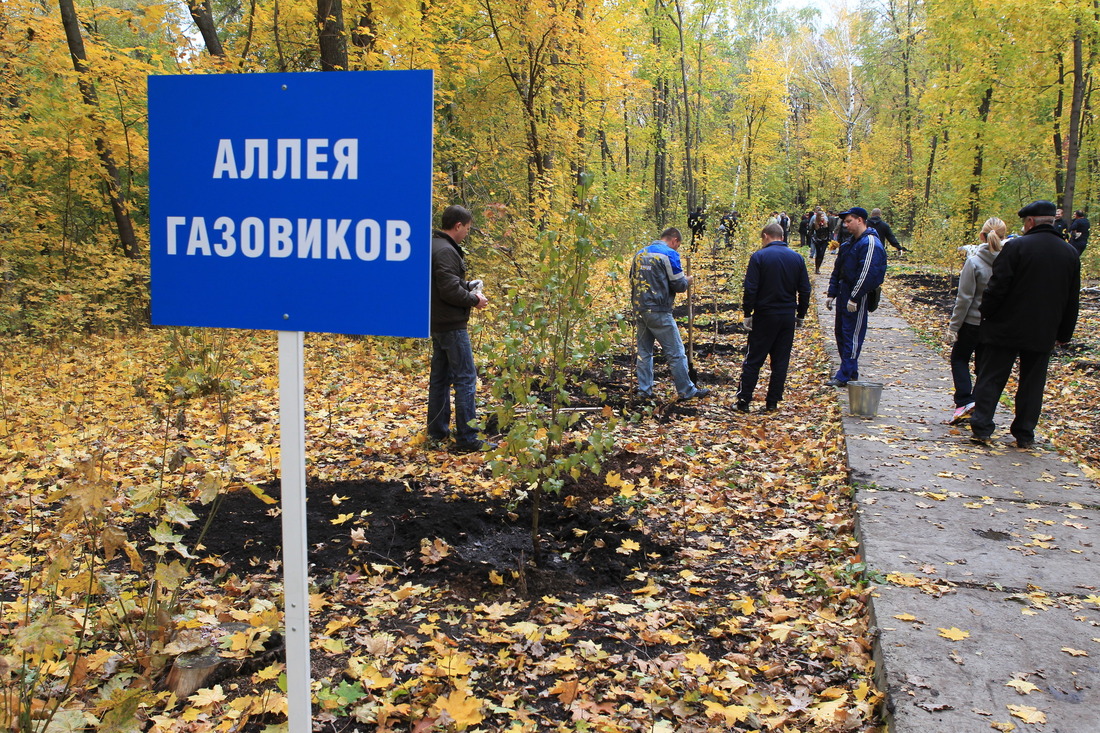 Аллея газовиков появилась на месте прежней березовой аллеи, деревья которой погибли вво время засушливого лета