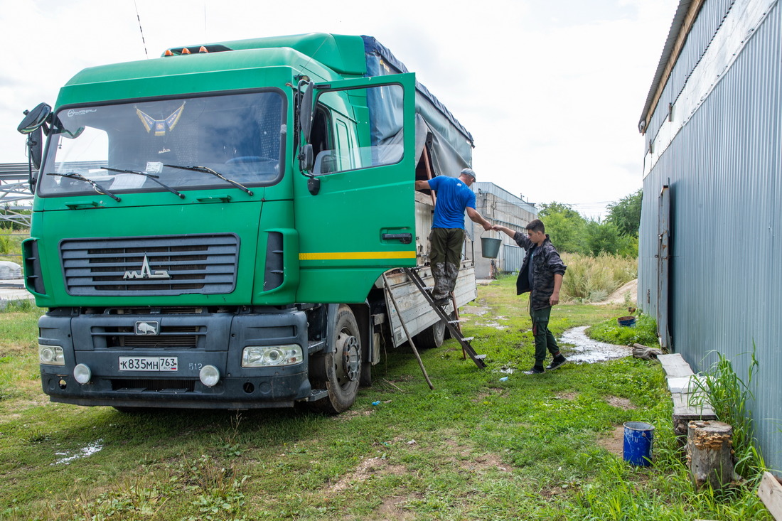 В путешествие из Саратовской области в Ульяновскую мальки отправились на специально оборудованном для этих целей КАМАЗе